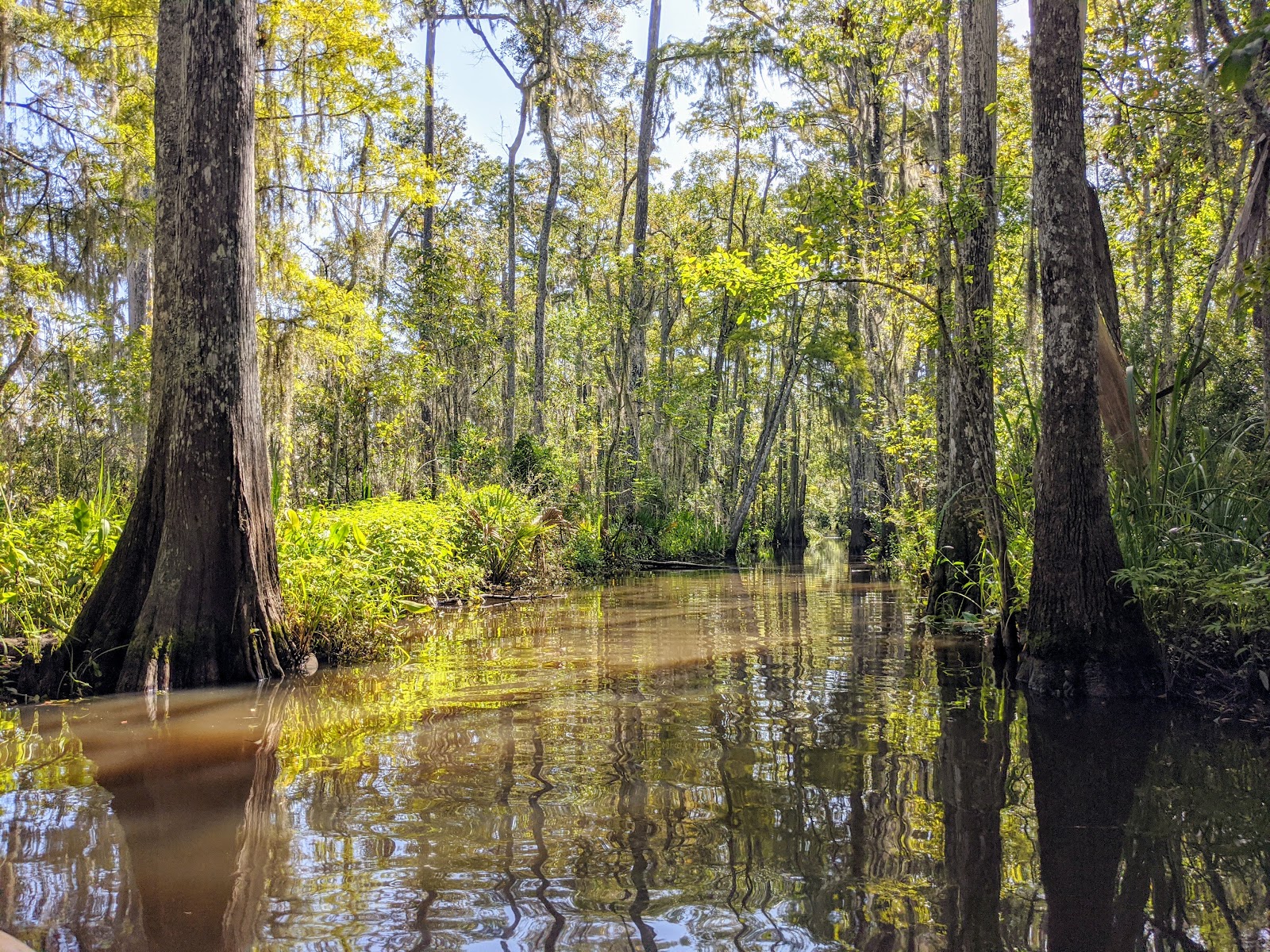 Photo of Altamaha Coastal Tours