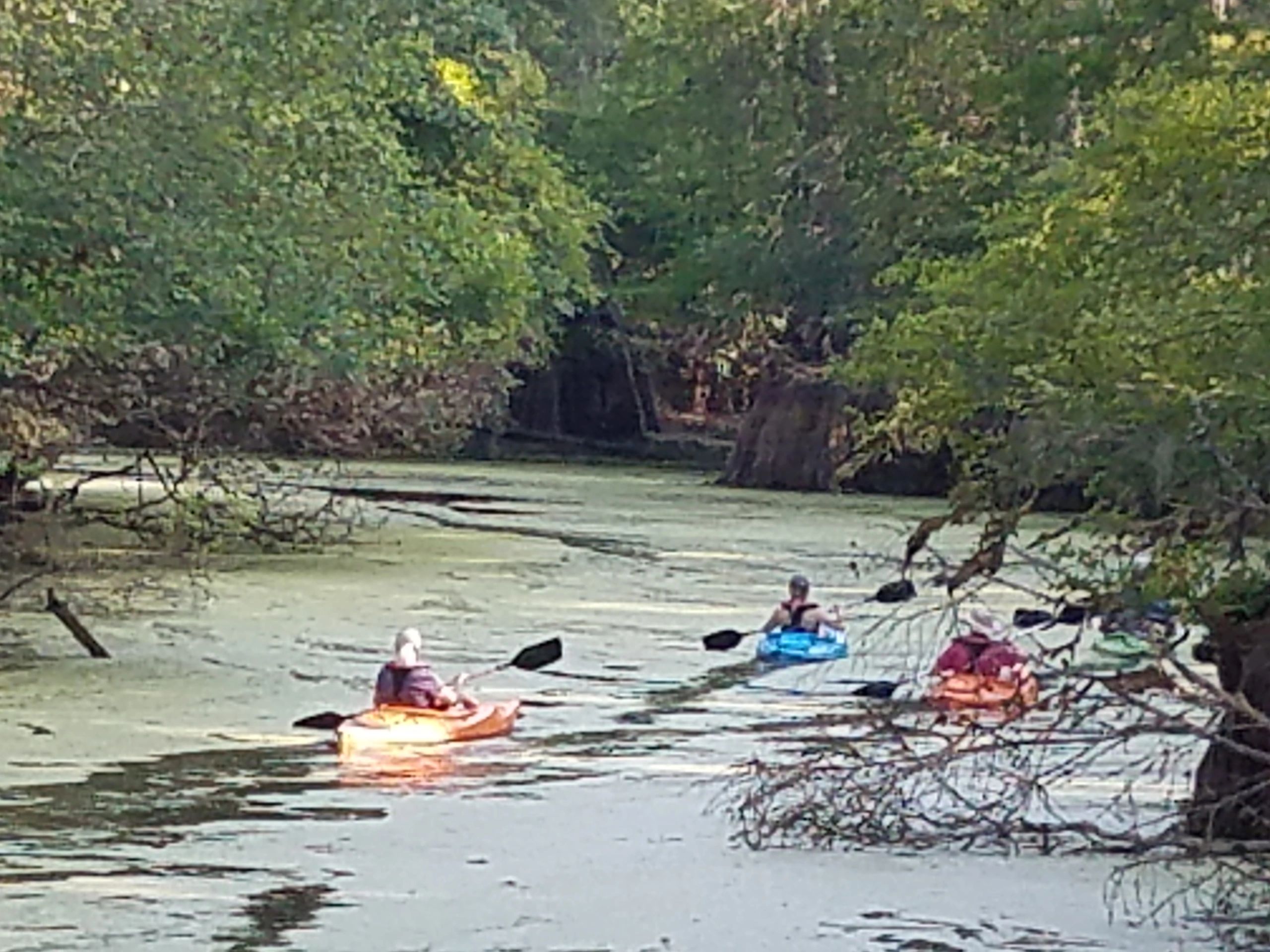 Photo of Backwater Expeditions