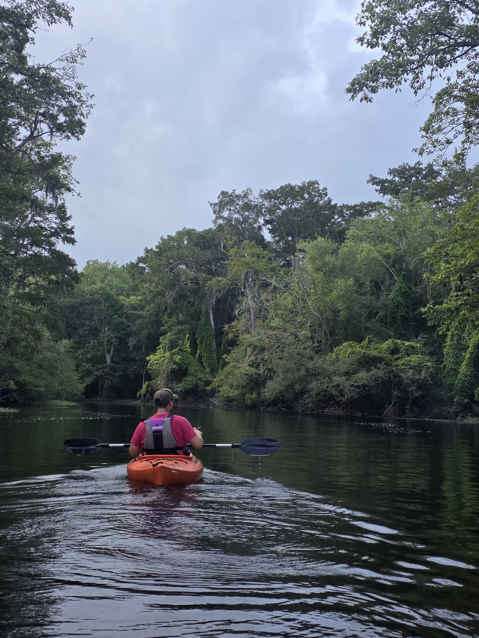 Photo of Backwater Expeditions