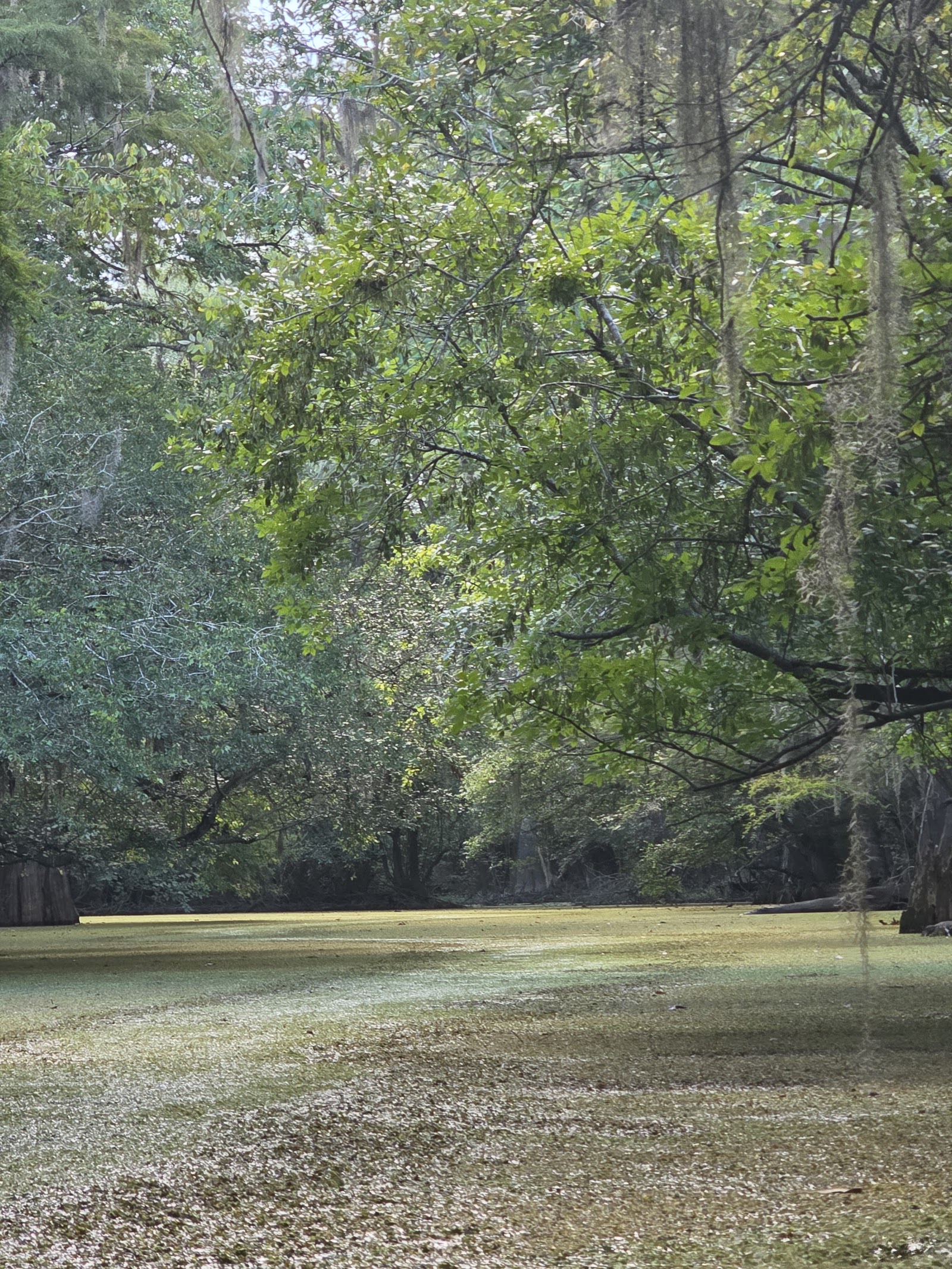 Photo of Backwater Expeditions
