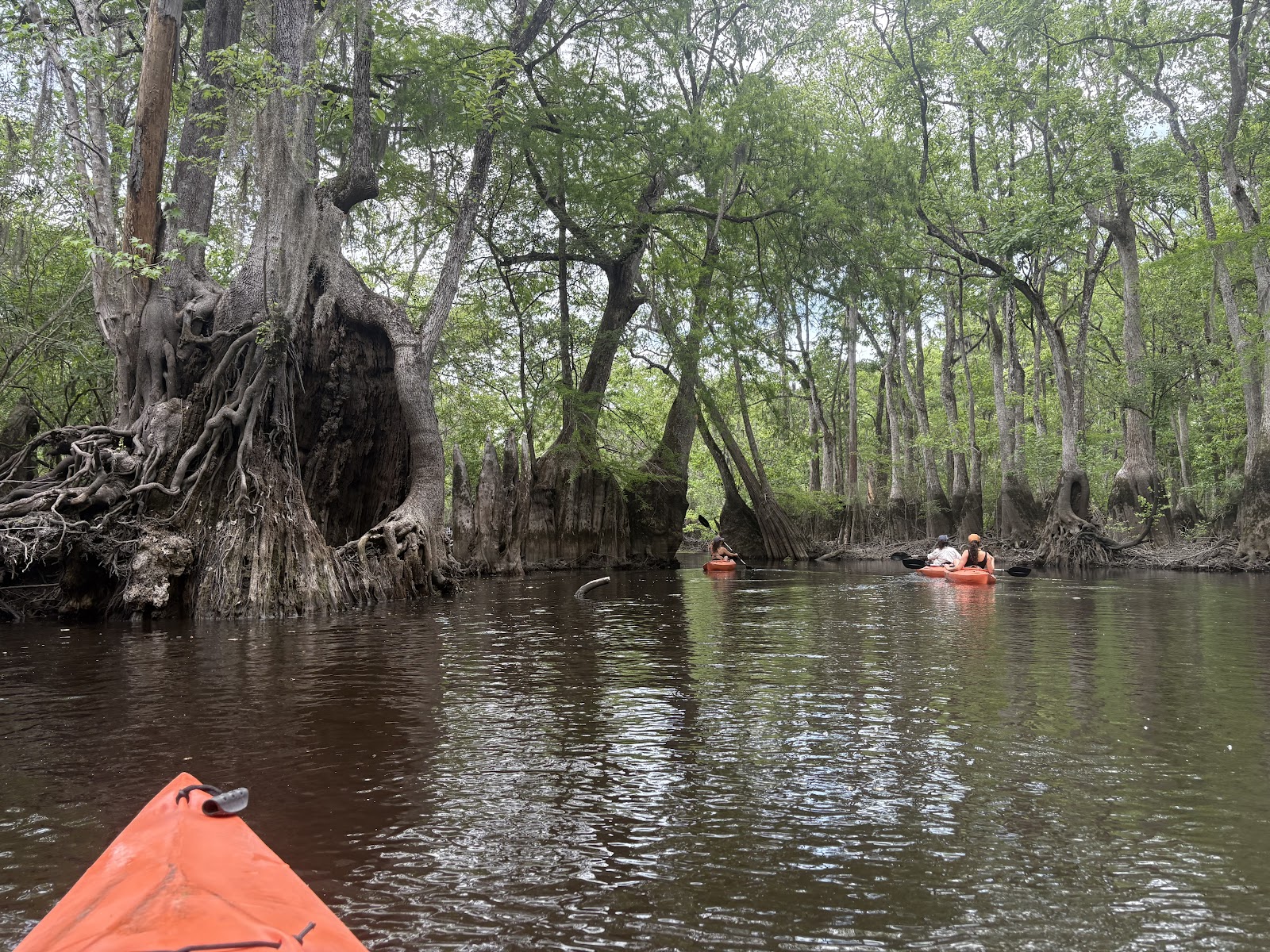 Photo of Backwater Expeditions