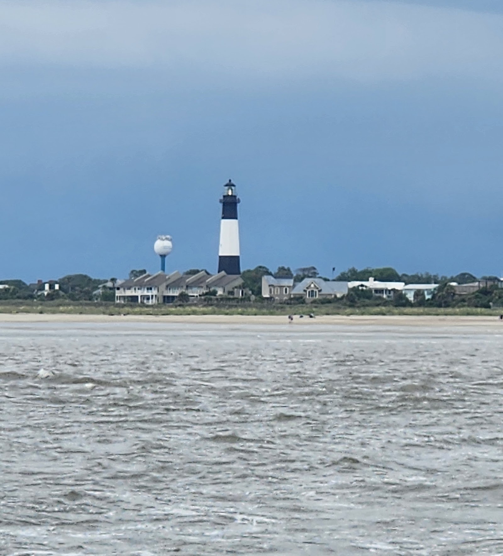 Photo of Captain Derek's Dolphin Adventure