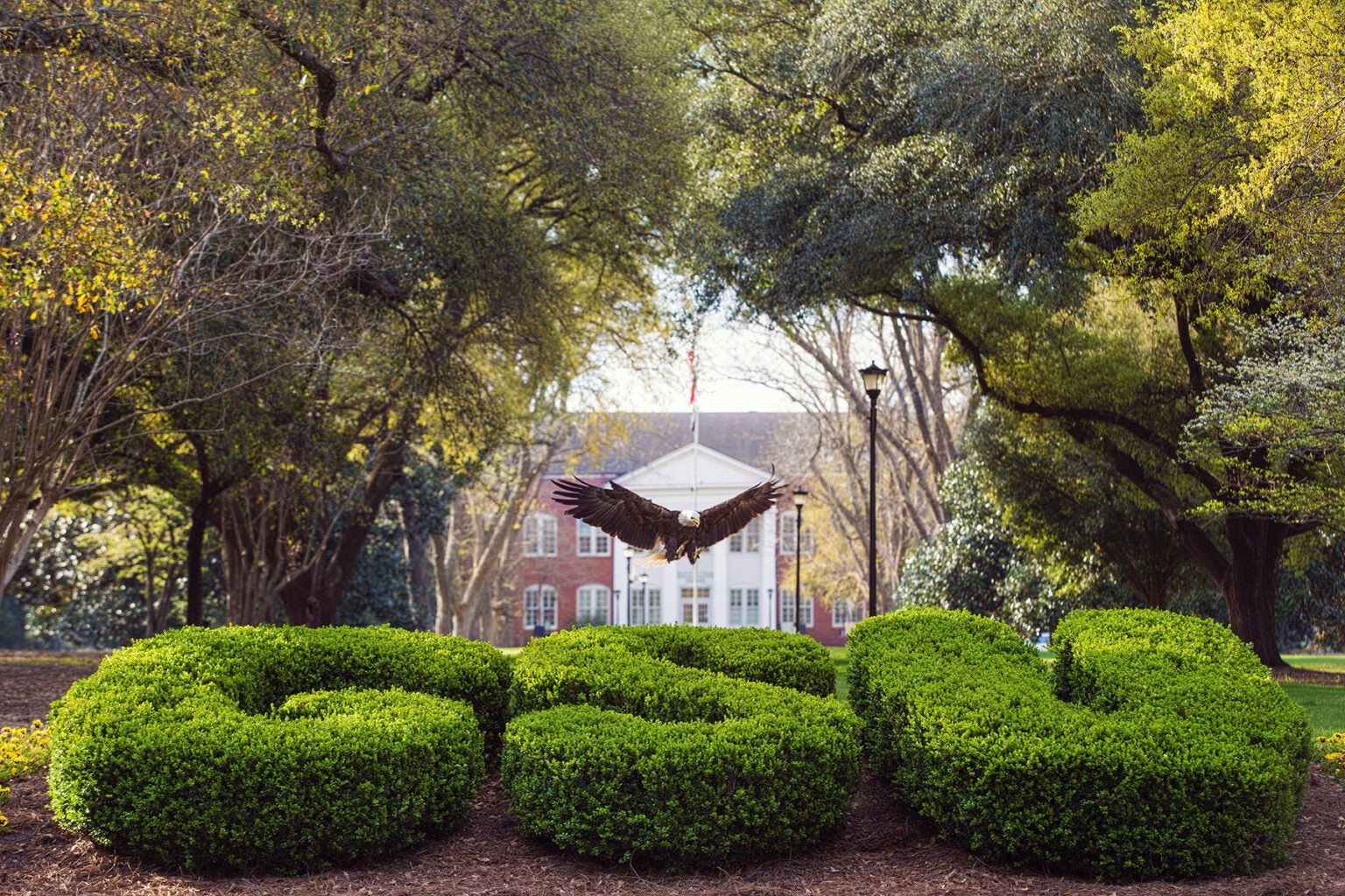 Photo of Center for Wildlife Education and Raptor Center