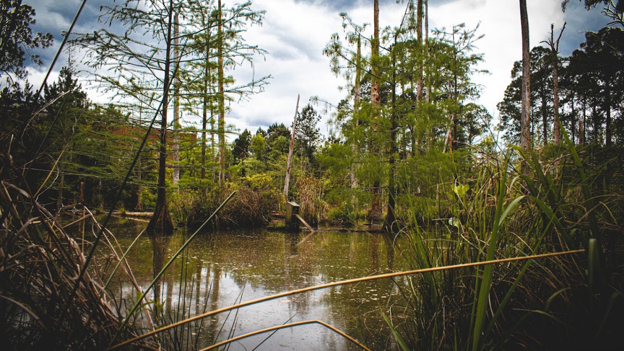 Photo of Center for Wildlife Education and Raptor Center