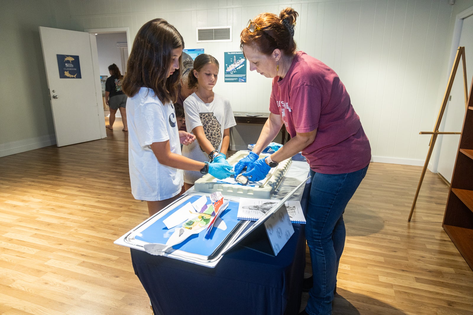 Photo of Georgia Southern Museum