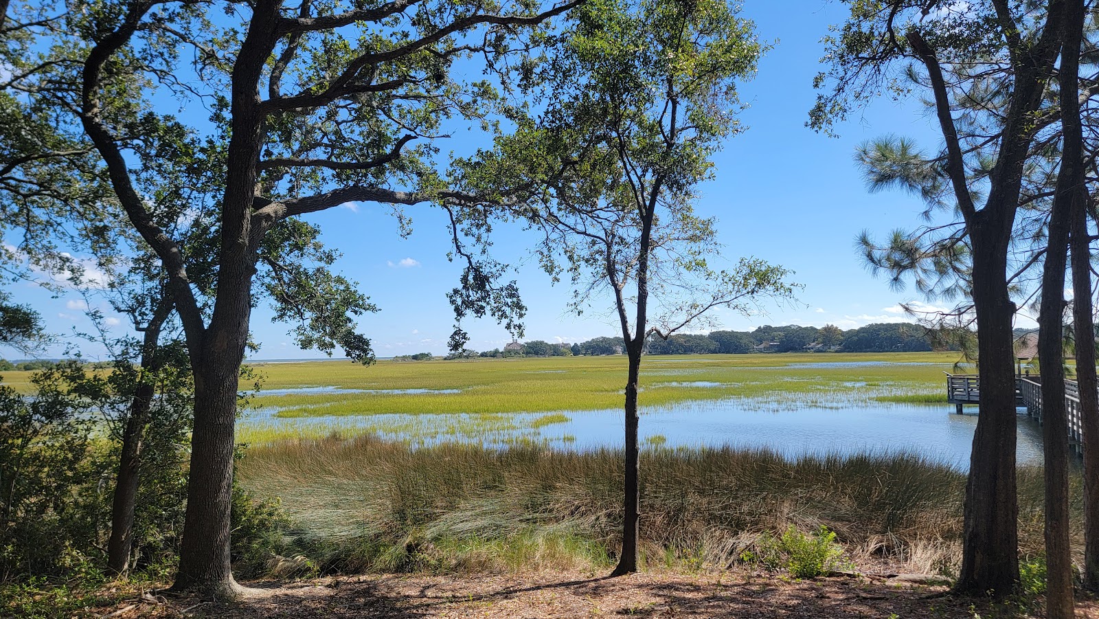 Photo of Gullah Heritage Trail Tours