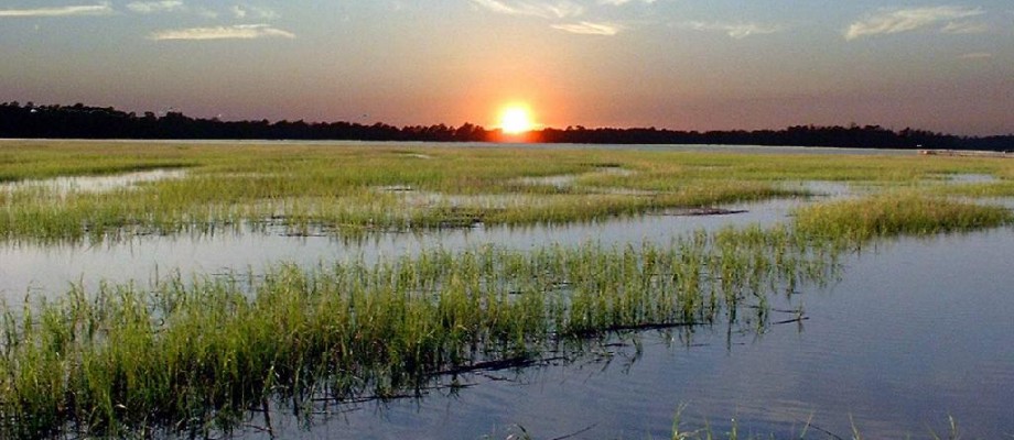 Photo of Gullah Heritage Trail Tours