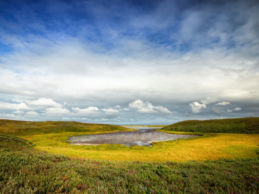 Photo of Harris Neck National Wildlife Refuge