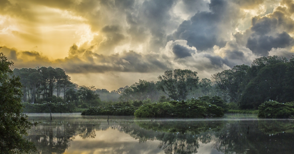 Photo of Harris Neck National Wildlife Refuge