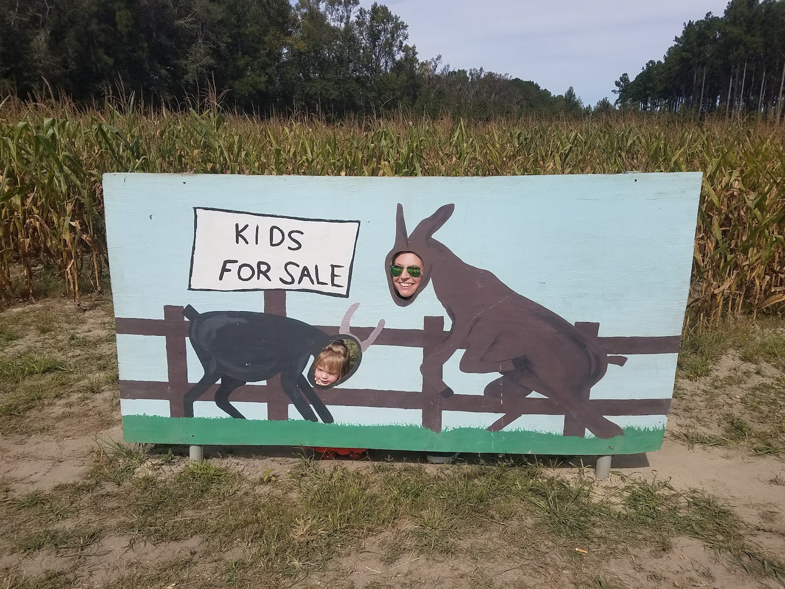 Photo of Madrac Farms
