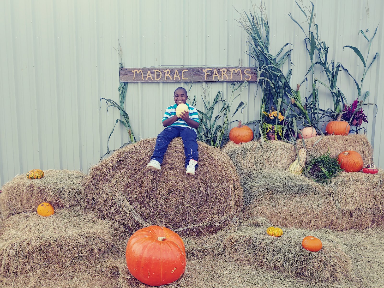 Photo of Madrac Farms