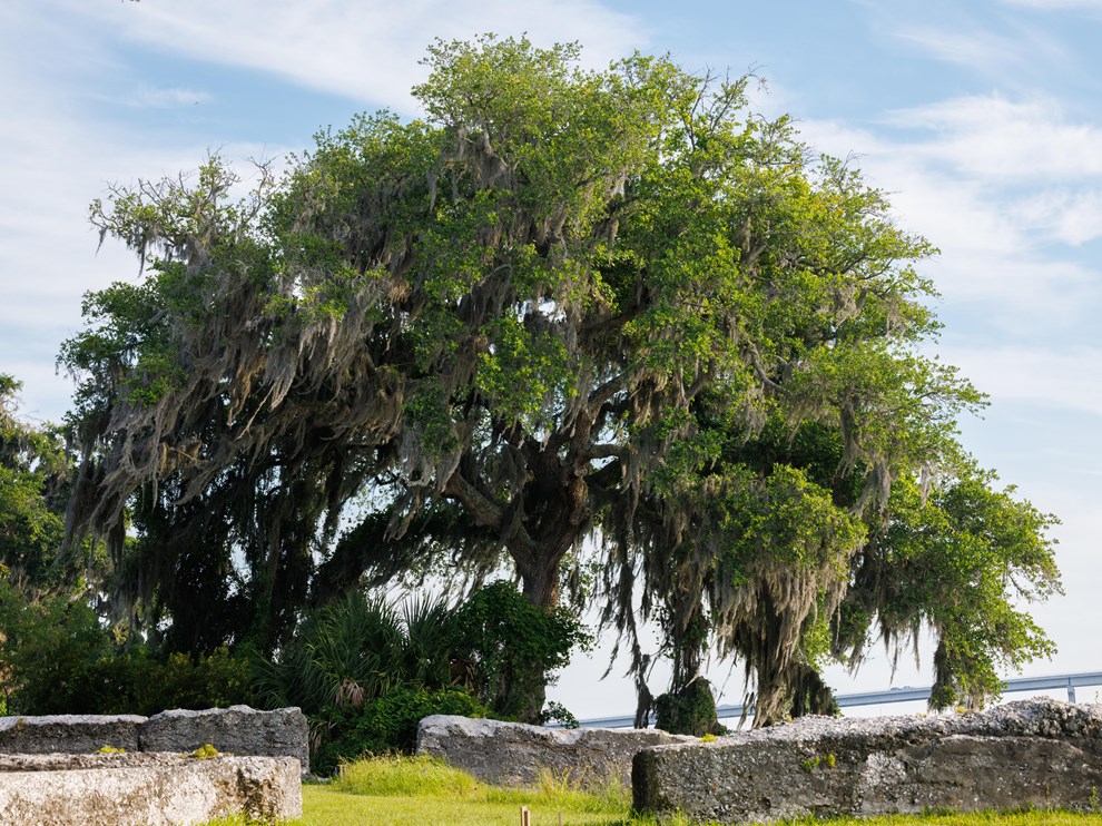 Photo of Reconstruction Era National Historical Park
