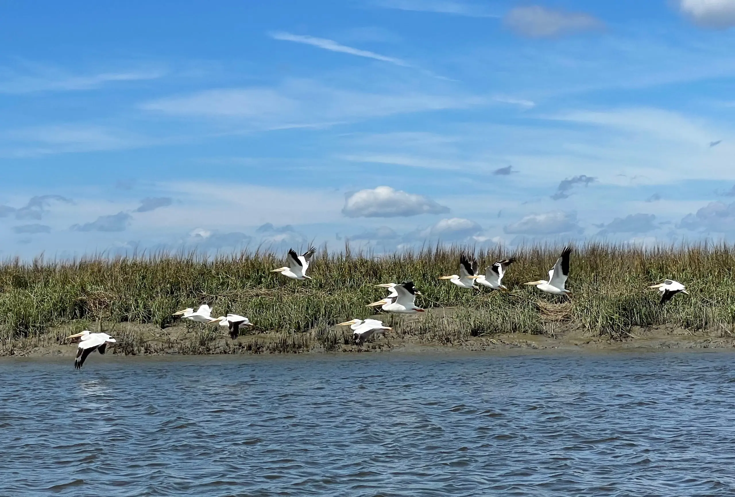 Photo of Sapelo Island National Estuarine Research Reserve