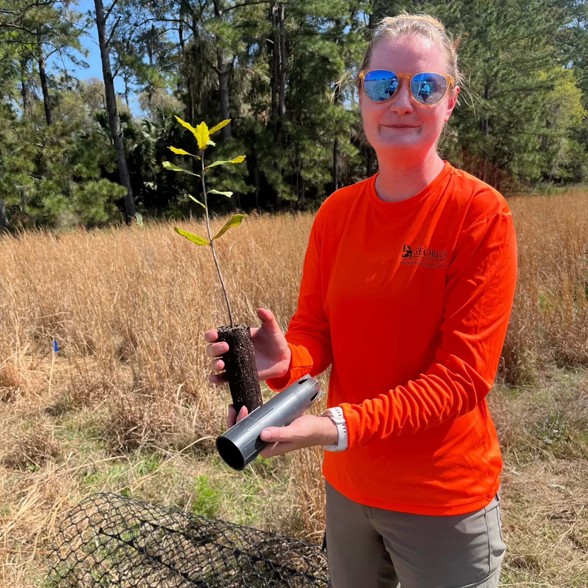 Photo of Sapelo Island National Estuarine Research Reserve