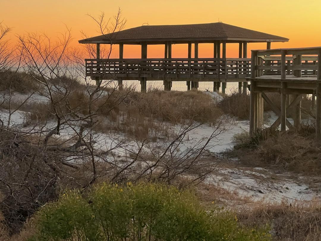 Photo of Sapelo Island Tours (JR Grovner)