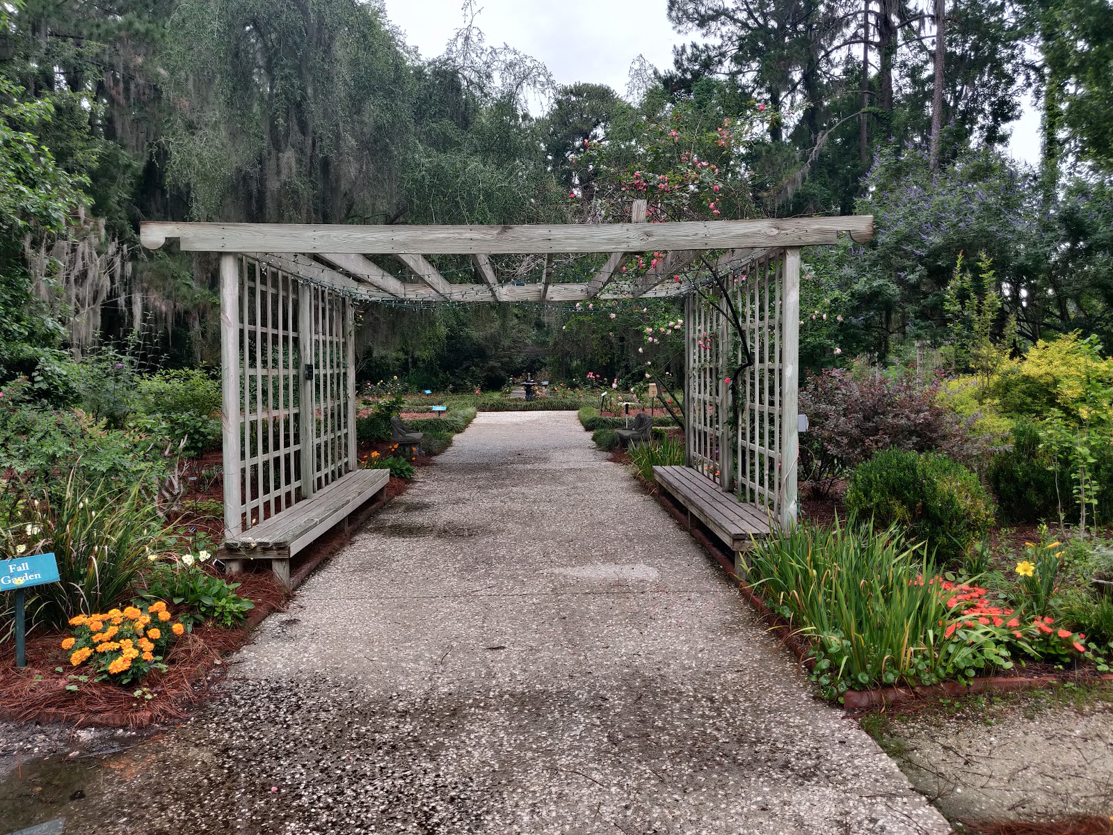 Photo of Savannah Botanical Gardens