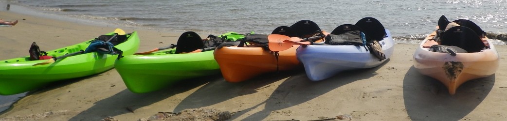 Photo of Sea Kayak Georgia
