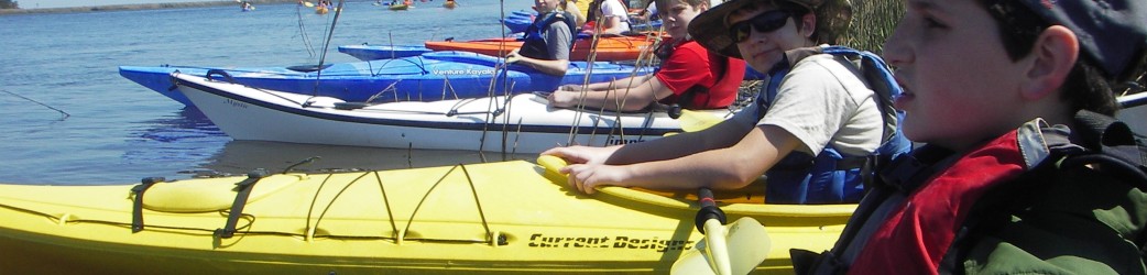 Photo of Sea Kayak Georgia