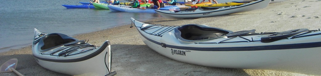 Photo of Sea Kayak Georgia