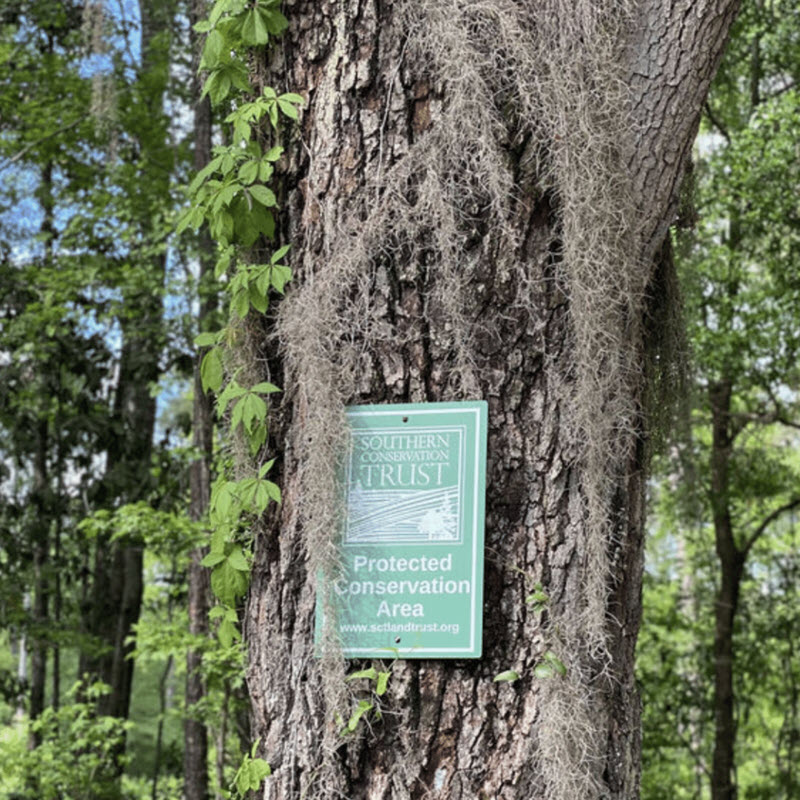 Photo of Seabrook Village