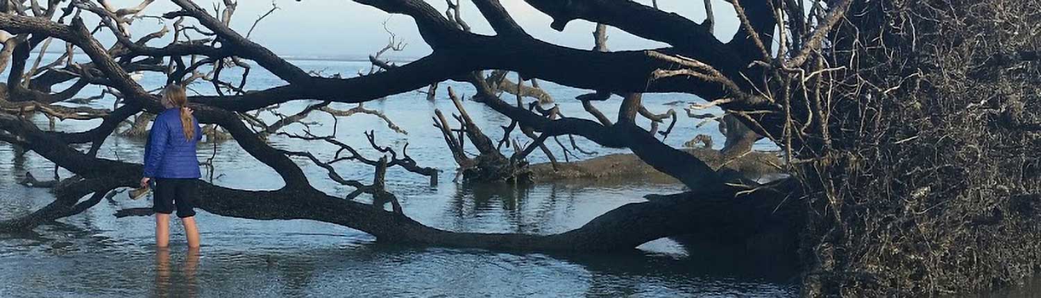 Photo of Sundial Charters