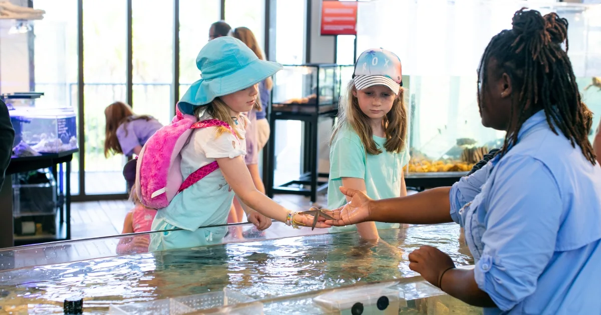 Tybee Island Marine Science Center photo 7