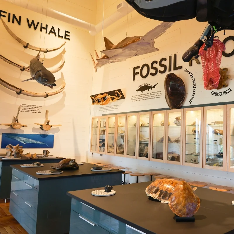 Tybee Island Marine Science Center photo 1