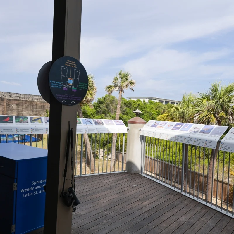 Tybee Island Marine Science Center photo 4