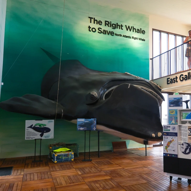 Tybee Island Marine Science Center photo 2