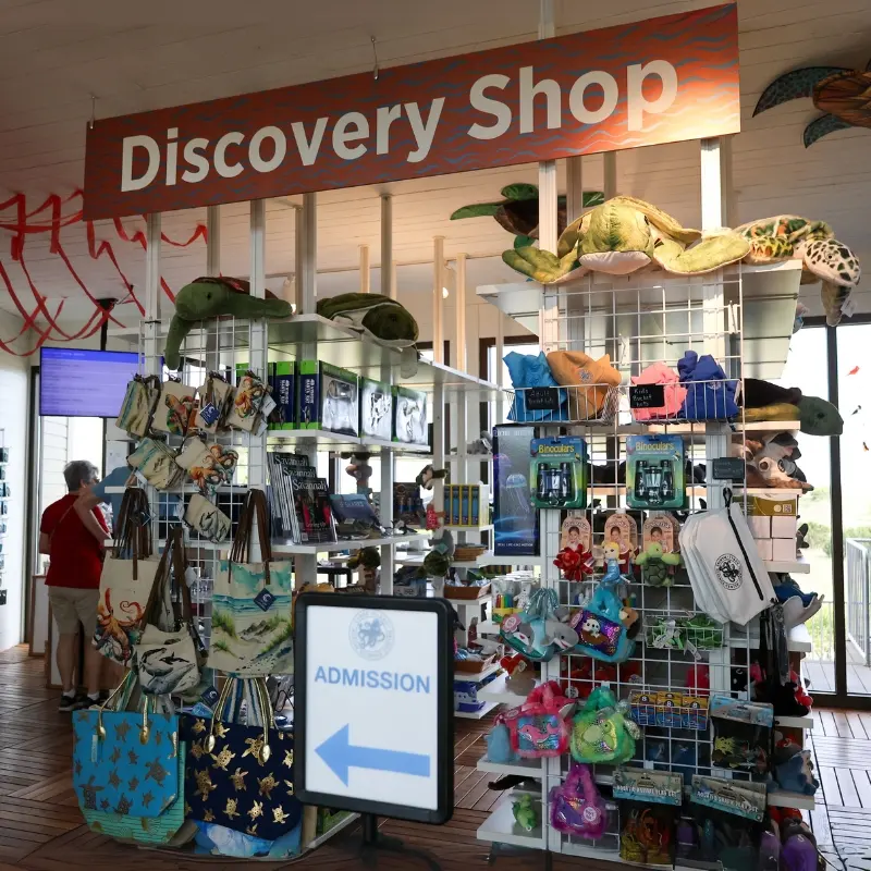 Tybee Island Marine Science Center photo 5