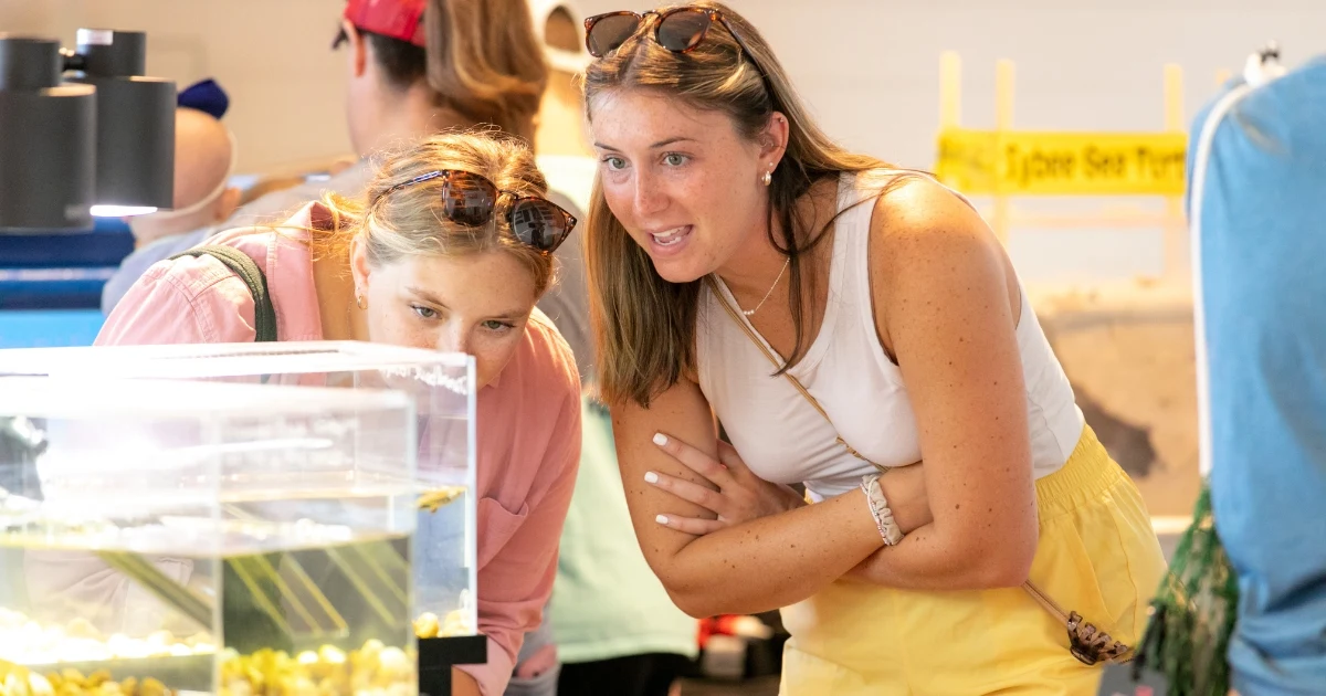 Tybee Island Marine Science Center photo 8